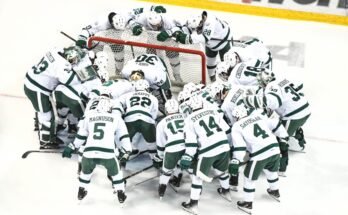 122124.s.bp.bsumhky mattias sholl 4.jpg
